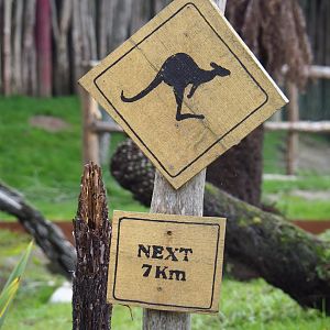 Sign Kangaroos next 7 kilometers, 2019-10-04