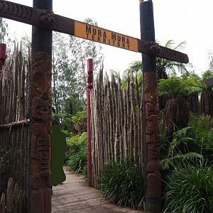 Access to the Australian area, 2019-10-04