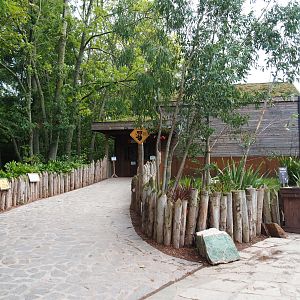 Queensland koala house, 2019-10-04
