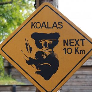 Sign Koalas next 10 kilometers, 2019-10-04