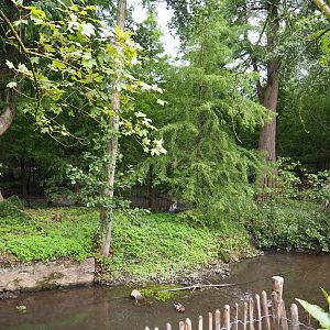 Siberian crane exhibit, 2019-10-04