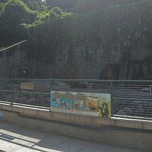 Asiatic Black Bear Pit