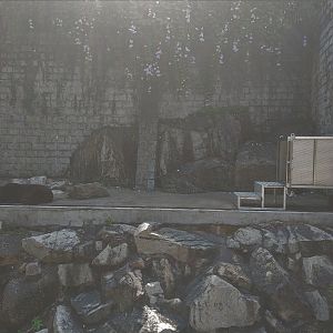 Asiatic Black Bear Pit