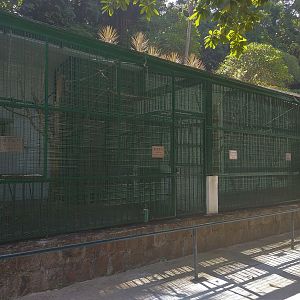 Disused Primate Exhibits
