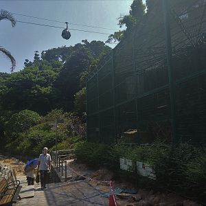 Aviary Under Renovation.