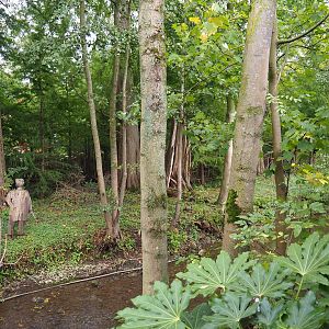 Siberian crane exhibit, 2019-10-04