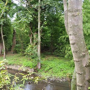 Siberian crane exhibit, 2019-10-04