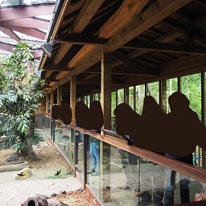 Queensland koala house viewing area, 2019-10-04