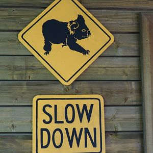 Koala road signs, 2019-10-04