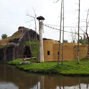 Western lowland gorilla volcano and Kikuyu colobus house, 2019-10-04
