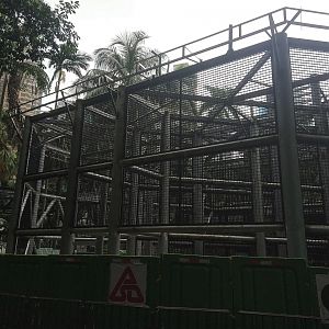 Orangutan Exhibit Under Construction