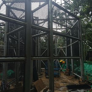 Orangutan Exhibit Under Construction