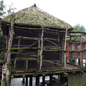 African stilt village - Chicken coop, 2019-10-04