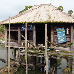 African stilt village, 2019-10-04