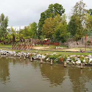 Emu and swamp wallaby exhibit with train tracks, seen from the African stilt village, 2019-10-04