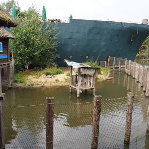 First pygmy hippopotamus exhibit, 2019-10-04