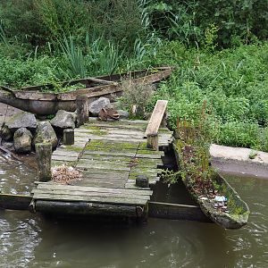 Dilapidated boats and dock, 2019-10-04