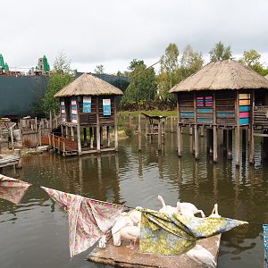African stilt village and Pygmy hippopotamus and great white pelican exhibit, 2019-10-04