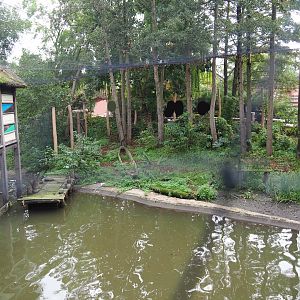 Shoebill aviary next to the African stilt village, 2019-10-04