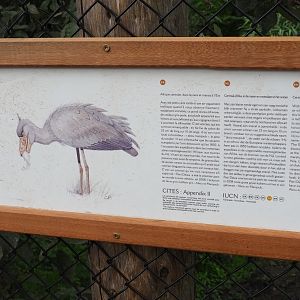 Shoebill signage, 2019-10-04