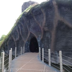 Access to the first gorilla volcano, 2019-10-04