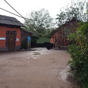 View on the walk-through lemur island, 2019-10-04