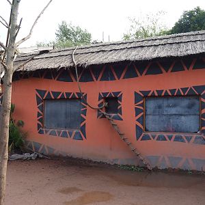 One of the lemur houses, 2019-10-04