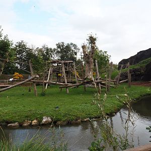 Second western lowland gorilla island and second gorilla volcano, 2019-10-04