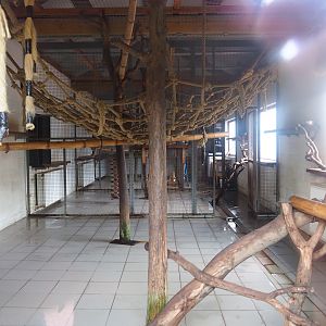 Indoor lemur housing, 2019-10-04