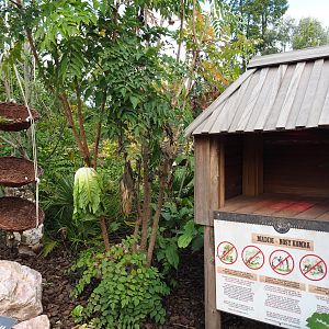 Lemur feeding area, 2019-10-04