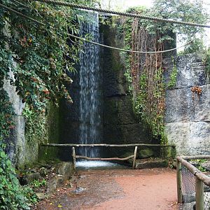 Waterfall and walkway on the lemur island, 2019-10-04