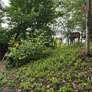 View on the walk-through lemur island, 2019-10-04