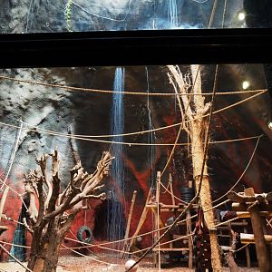 Western lowland gorilla indoor housing in the second gorilla volcano, 2019-10-04