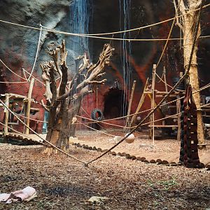 Western lowland gorilla indoor housing in the second gorilla volcano, 2019-10-04