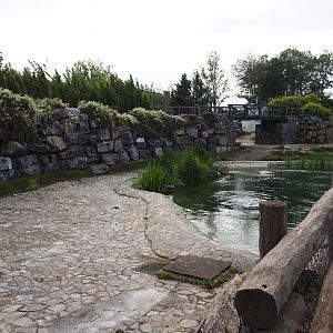 Hippopotamus exhibit, 2019-10-04