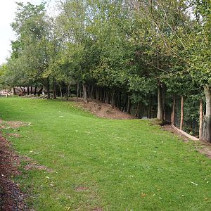Blue crane, marabou and western sitatunga exhibit, 2019-10-04