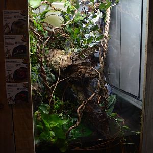 Mixed invertebrate exhibit 1