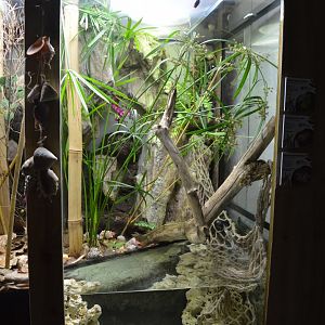 Mixed invertebrate exhibit 3