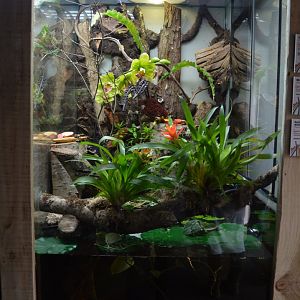 Mixed invertebrate exhibit 6