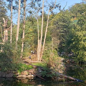 Surrounding Waters of Africa