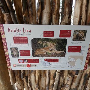 Asiatic Lion signage