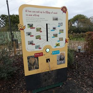 Interactive signage of African vs. Asiatic Lions