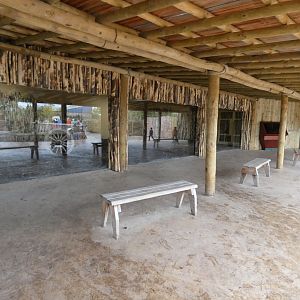 Indoor Lion viewing area