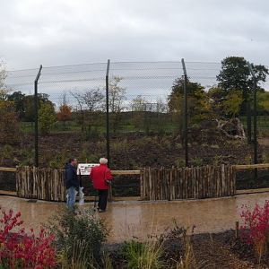 Panorama of Asiatic Lion facility