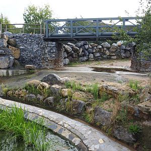Hippopotamus exhibit - Land area and passage to indoor holding, 2019-10-04