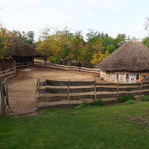 Blue crane, marabou and western sitatunga stable and separation paddock, 2019-10-04