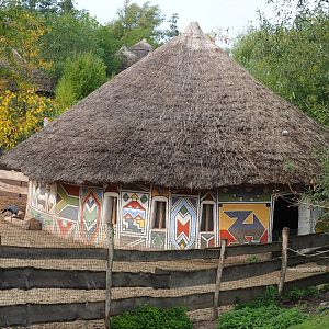 Blue crane, marabou and western sitatunga stable, 2019-10-04