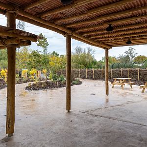 New Lion Exhibit Covered Area - 20/10/2019