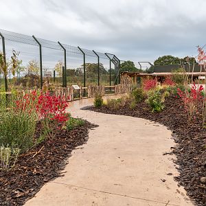 New Lion Exhibit Path from Raised Viewing - 20/10/2019