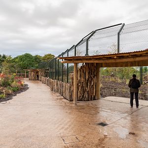 New Lion Exhibit Third Viewing Window - 20/10/2019